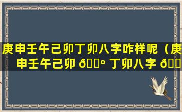 庚申壬午己卯丁卯八字咋样呢（庚申壬午己卯 🌺 丁卯八字 🌻 咋样呢女命）